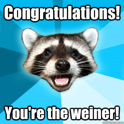 Congratulations! You're the weiner!  Lame Pun Coon
