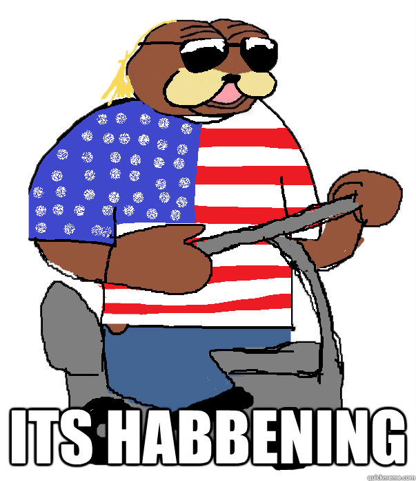  its habbening  -  its habbening   Le american bear face