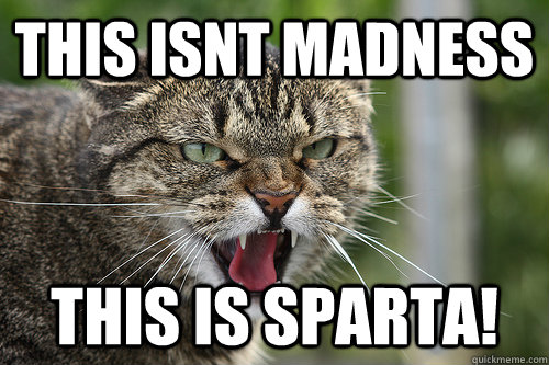 This isnt madness this is sparta! - This isnt madness this is sparta!  Rebellion Cat