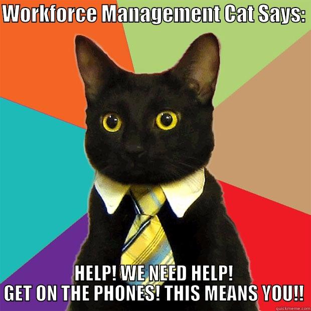 WORKFORCE MANAGEMENT CAT SAYS:  HELP! WE NEED HELP! GET ON THE PHONES! THIS MEANS YOU!! Business Cat
