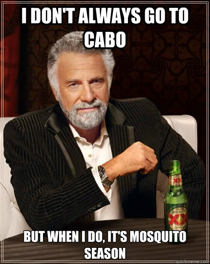 I don't always go to cabo but when I do, it's mosquito season - I don't always go to cabo but when I do, it's mosquito season  The Most Interesting Man In The World