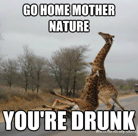 Go home mother nature You're drunk  Giraffe