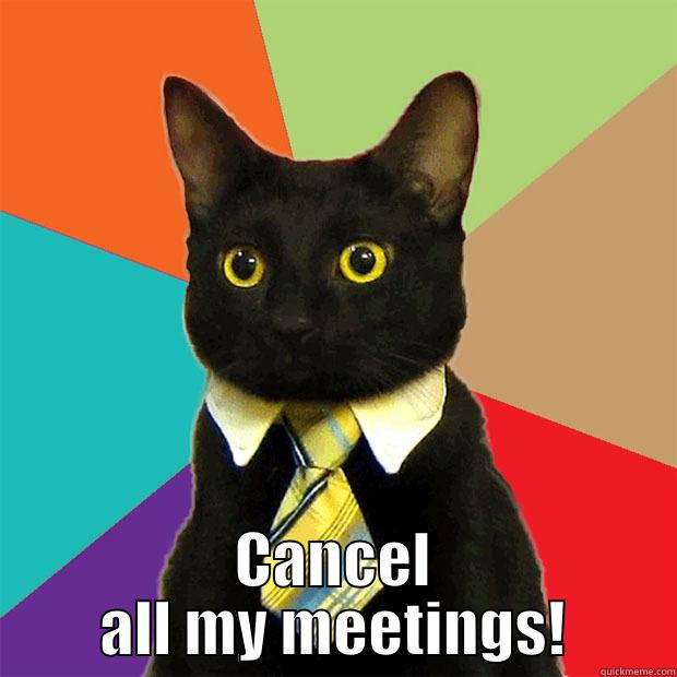 Haha great title -  CANCEL ALL MY MEETINGS! Business Cat