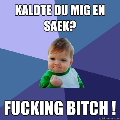 Kaldte du mig en saek? Fucking bitch !  Success Kid