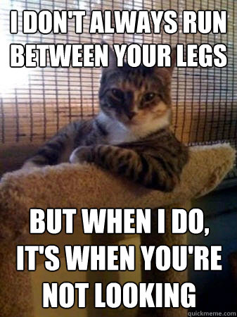 I don't always run between your legs   But when I do, it's when you're not looking  The Most Interesting Cat in the World