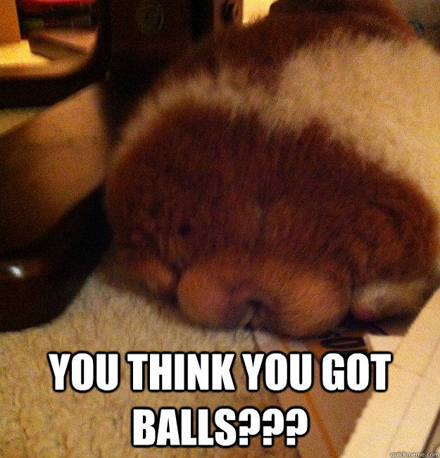     You think you got balls???  BigBalls
