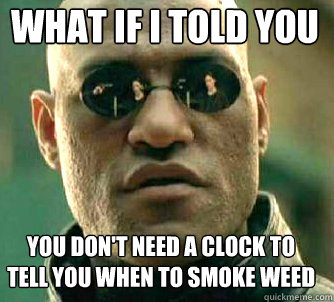 what if i told you you don't need a clock to tell you when to smoke weed  Matrix Morpheus
