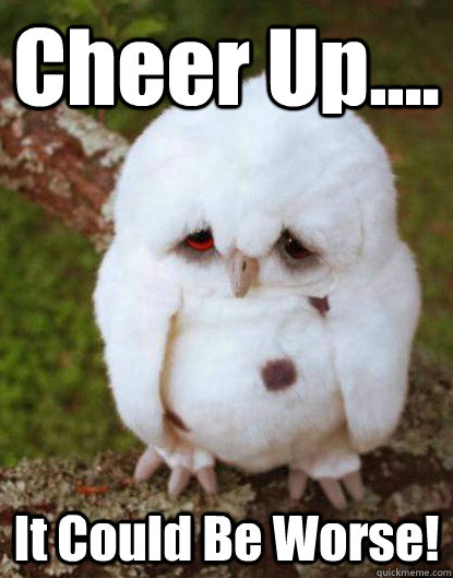 Cheer Up.... It Could Be Worse!  Depressed Baby Owl