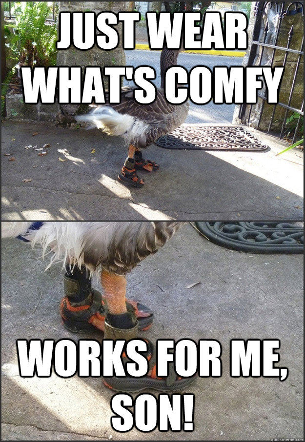 just wear what's comfy works for me, son!  Self-projection Advice Goose