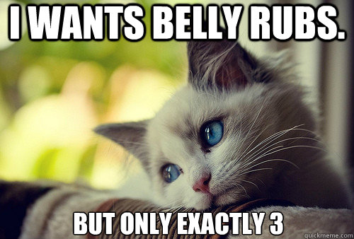 I wants belly rubs. But only exactly 3  First World Problems Cat