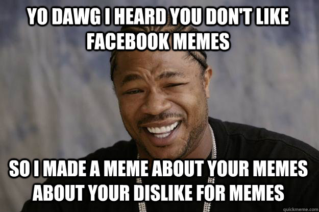 YO DAWG I HEARD you don't like facebook memes so I made a meme about your memes about your dislike for memes  Xzibit meme
