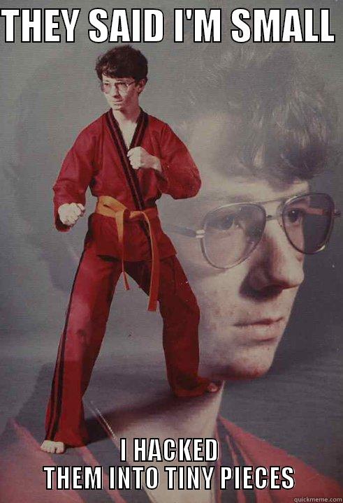 THEY SAID I'M SMALL  I HACKED THEM INTO TINY PIECES Karate Kyle