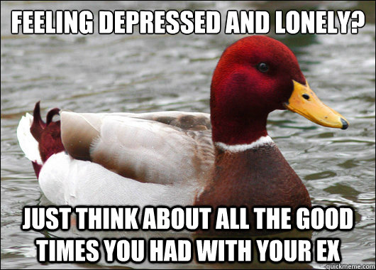 Feeling Depressed and Lonely?
 just think about all the good times you had with your Ex  Malicious Advice Mallard