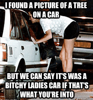 I found a picture of a tree on a car But we can say it's was a bitchy ladies car if that's what you're into - I found a picture of a tree on a car But we can say it's was a bitchy ladies car if that's what you're into  Karma Whore
