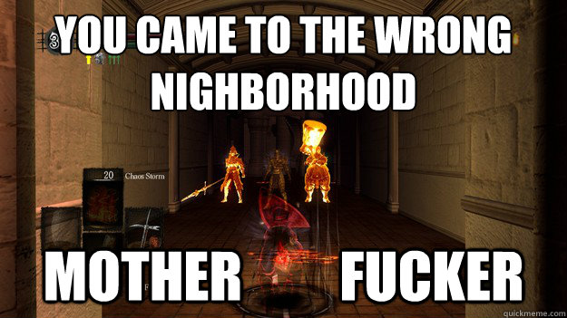 You came to the wrong
nighborhood Mother         Fucker  Dark Souls