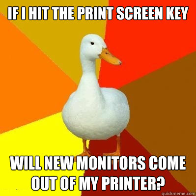 If i hit the print screen key will new monitors come out of my printer?  Tech Impaired Duck