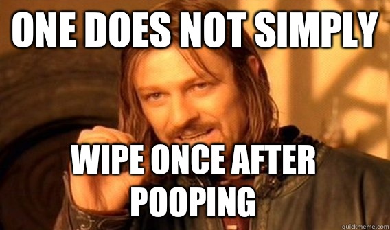 ONE DOES NOT SIMPLY WIPE ONCE AFTER POOPING  One Does Not Simply
