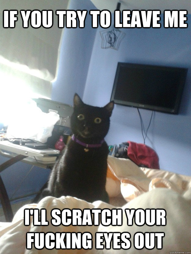 if you try to leave me i'll scratch your fucking eyes out - if you try to leave me i'll scratch your fucking eyes out  overly attached cat