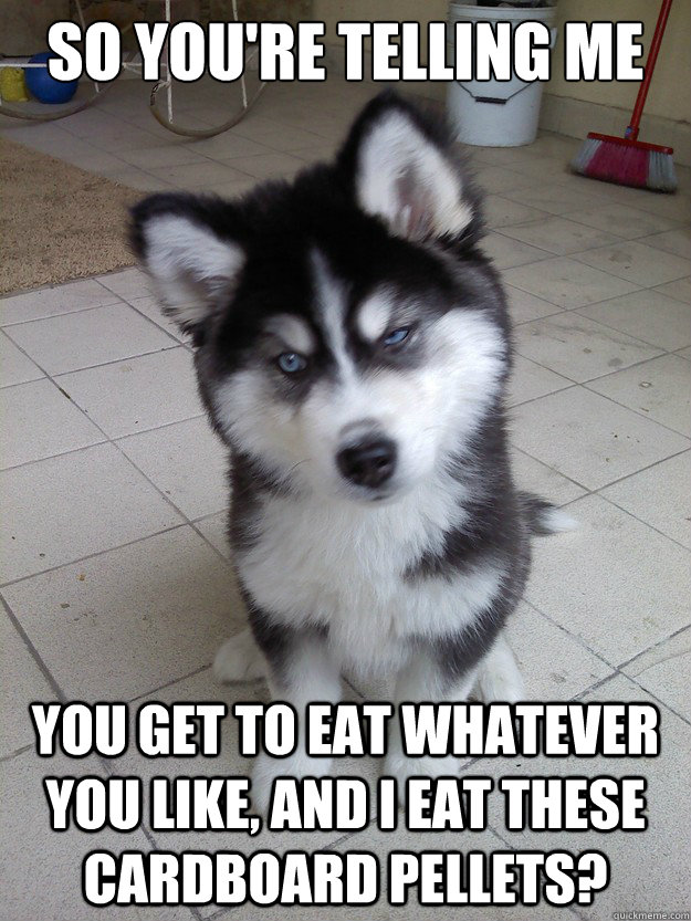 So you're telling me You get to eat whatever you like, and I eat these cardboard pellets?  Skeptical Newborn Puppy