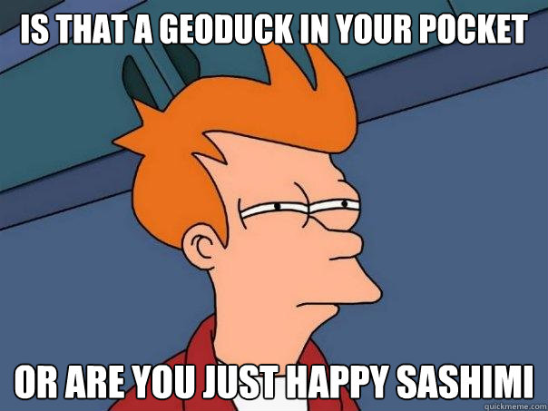 IS THAT A GEODUCK IN YOUR POCKET OR ARE YOU JUST HAPPY SASHIMI  Futurama Fry