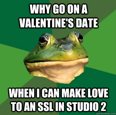 Why go on a Valentine's date when I can make love to an SSL in studio 2  Foul Bachelor Frog