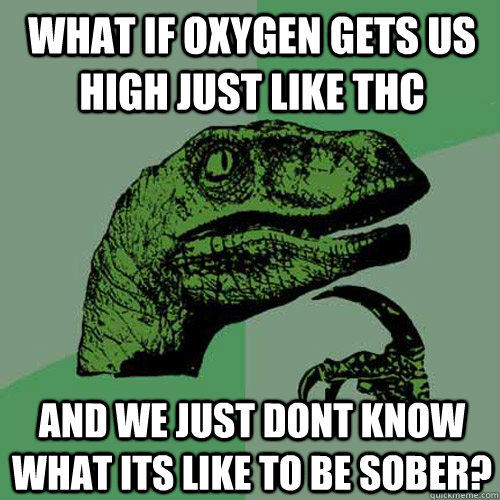 what if oxygen gets us high just like thc and we just dont know what its like to be sober? - what if oxygen gets us high just like thc and we just dont know what its like to be sober?  Philosoraptor