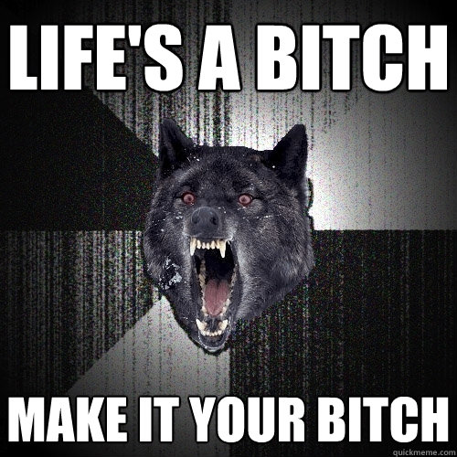 life's a bitch make it your bitch  Insanity Wolf