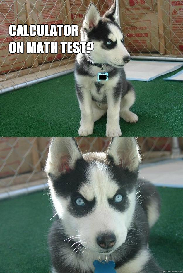 Calculator 
on Math Test?
   Insanity puppy