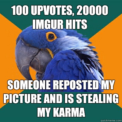 100 upvotes, 20000 imgur hits Someone reposted my picture and is stealing my karma  Paranoid Parrot
