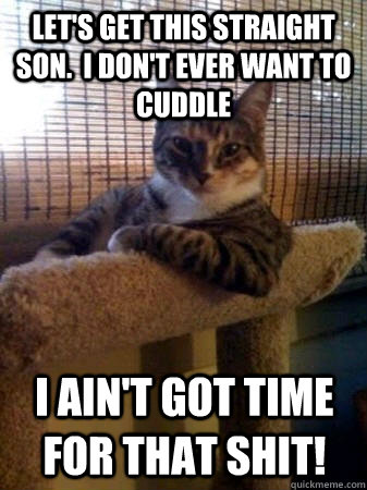 Let's get this straight son.  I don't ever want to cuddle I ain't got time for that shit!  The Most Interesting Cat in the World