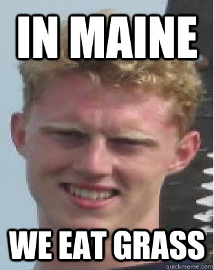 IN Maine We eat grass  In Maine