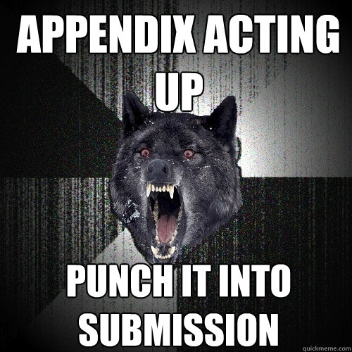 Appendix acting up punch it into submission  Insanity Wolf