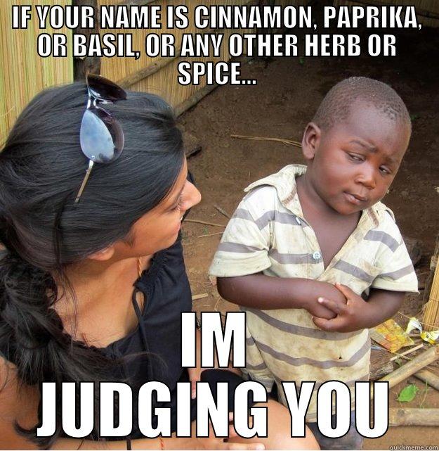 IF YOUR NAME IS CINNAMON, PAPRIKA, OR BASIL, OR ANY OTHER HERB OR SPICE... IM JUDGING YOU Skeptical Third World Kid