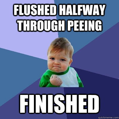 Flushed halfway through peeing finished - Flushed halfway through peeing finished  Success Kid