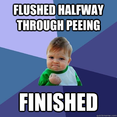 Flushed halfway through peeing finished  Success Kid