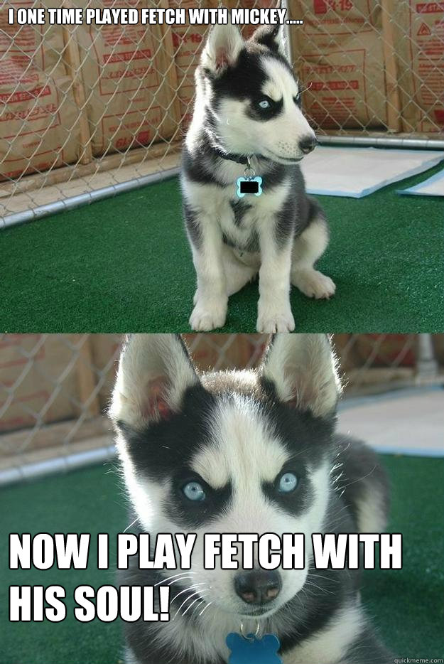 I one time played fetch with mickey..... Now I play fetch with his soul!  Insanity puppy