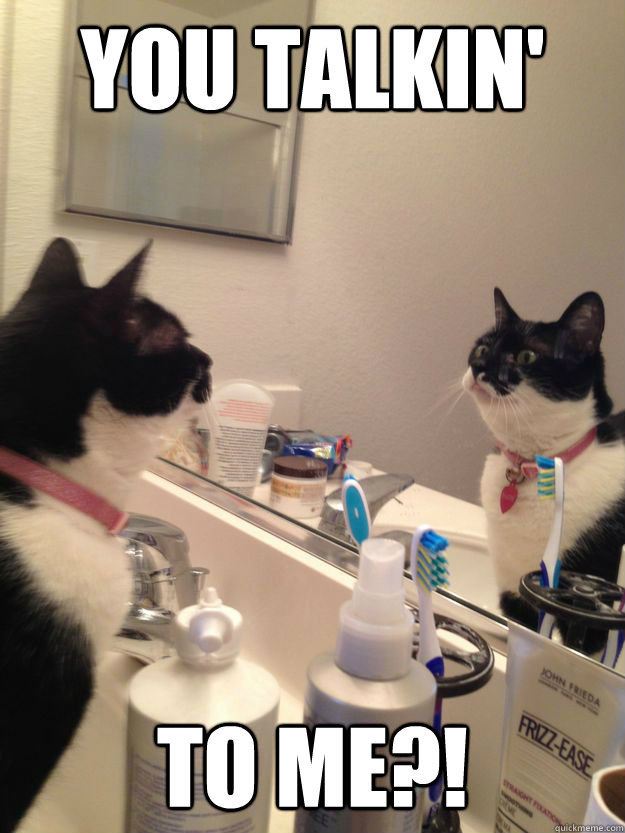 You Talkin' TO ME?!  Taxi Driver Cat