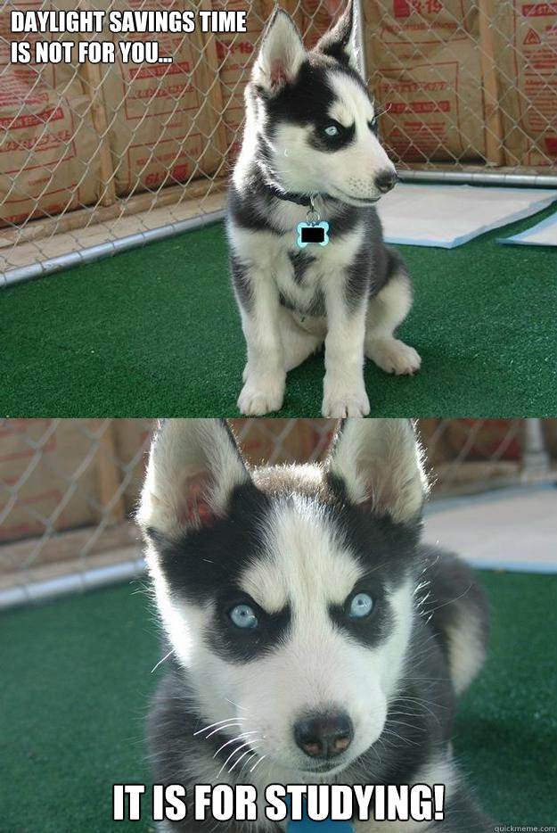 Daylight savings time 
is not for you... it is for studying!  Insanity puppy
