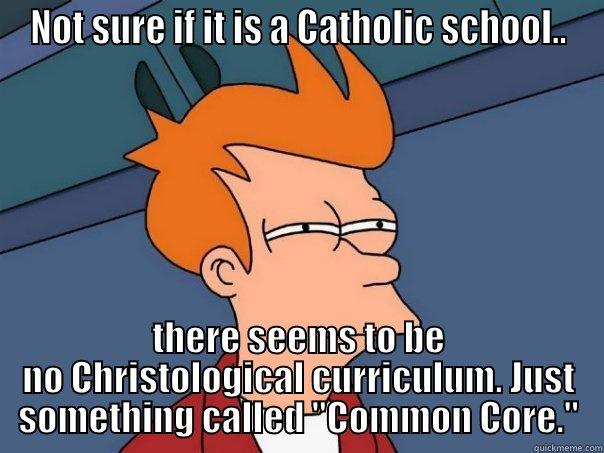 NOT SURE IF IT IS A CATHOLIC SCHOOL.. THERE SEEMS TO BE NO CHRISTOLOGICAL CURRICULUM. JUST SOMETHING CALLED 