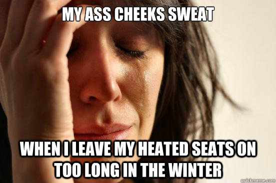 My ass cheeks sweat when I leave my heated seats on too long in the winter  First World Problems