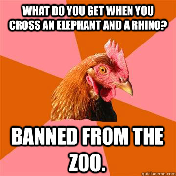 What do you get when you cross an elephant and a rhino? Banned from the zoo.  Anti-Joke Chicken