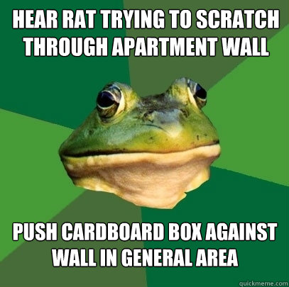 Hear rat trying to scratch through apartment wall push cardboard box against wall in general area  Foul Bachelor Frog