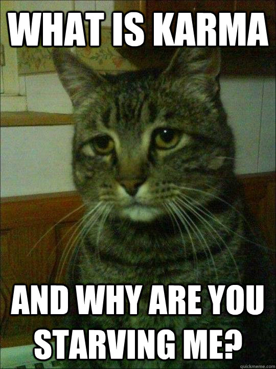 What is Karma And why are you starving me? - What is Karma And why are you starving me?  Misc