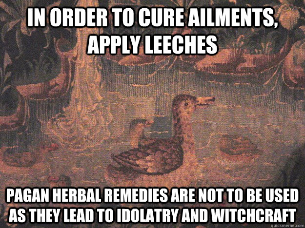 In order to cure ailments, apply leeches Pagan Herbal remedies are not to be used as they lead to Idolatry and Witchcraft  Medieval Advice Mallard