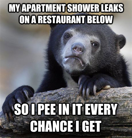 MY APARTMENT SHOWER LEAKS ON A RESTAURANT BELOW SO I PEE IN IT EVERY CHANCE I GET  Confession Bear