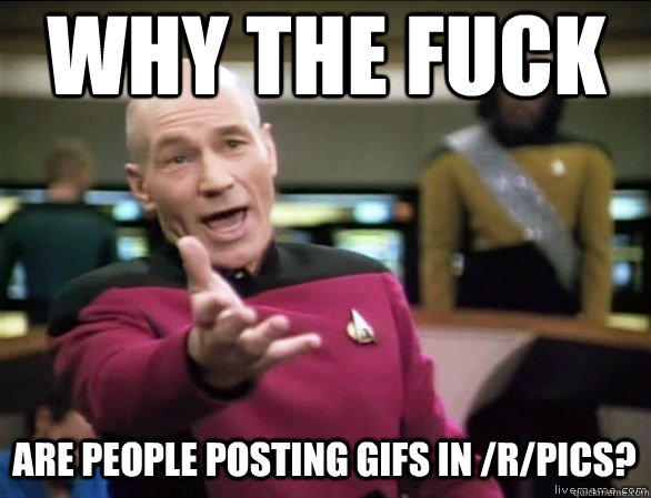 why the fuck are people posting gifs in /r/pics?  Annoyed Picard HD