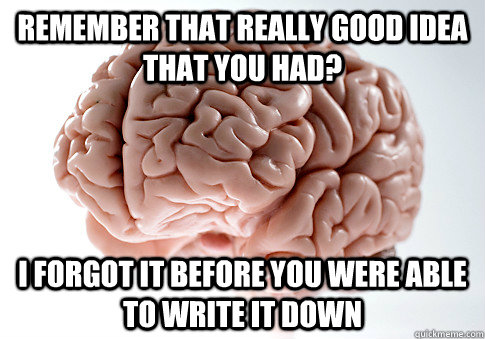 Remember that really good idea that you had? I forgot it before you were able to write it down  Scumbag Brain