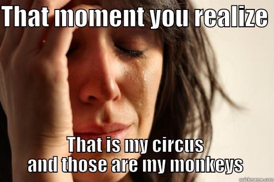THAT MOMENT YOU REALIZE  THAT IS MY CIRCUS AND THOSE ARE MY MONKEYS First World Problems