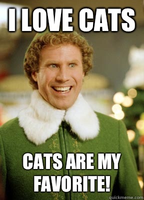 I love cats  Cats are my favorite!  Buddy the Elf