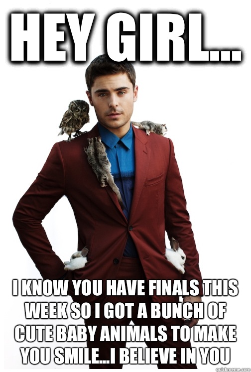 Hey Girl... I know you have finals this week so I got a bunch of cute baby animals to make you smile...I believe in you - Hey Girl... I know you have finals this week so I got a bunch of cute baby animals to make you smile...I believe in you  Hey Girl Remix - Zac Efron